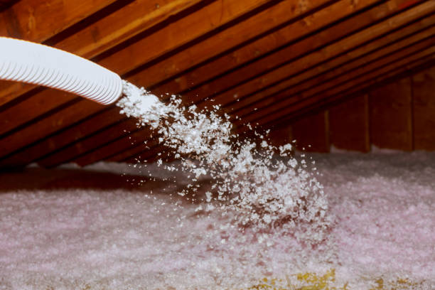 Best Insulation Installation Services in Hamtramck, MI